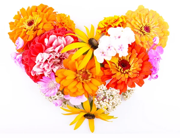 Fresh colorful flowers in shape of heart isolated on white — Stock Photo, Image