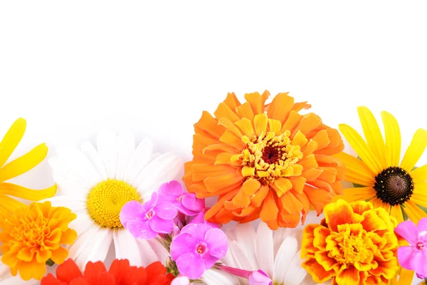 Fresh colorful flowers isolated on white — Stock Photo, Image