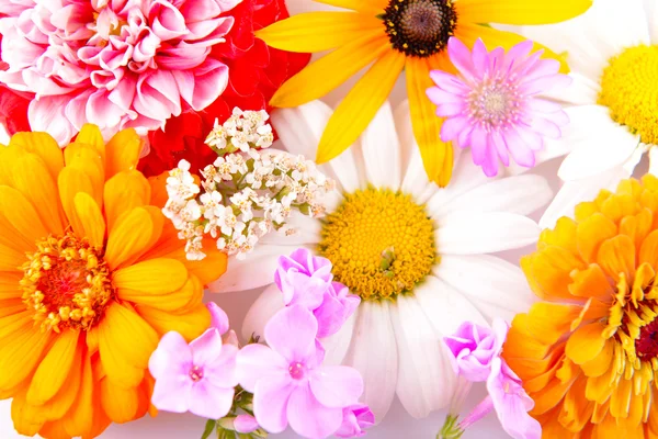 Świeże kwiaty kolorowe tło — Zdjęcie stockowe