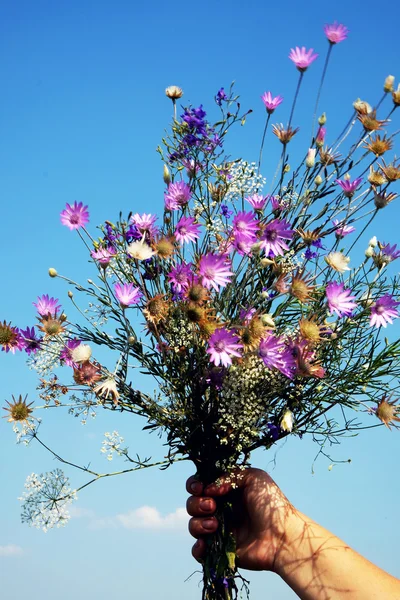 青の背景に明るい野生の花の美しい花束を持つ手 — ストック写真