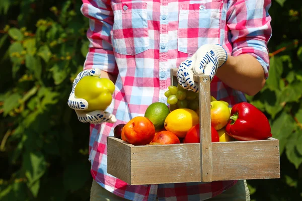 Woman holding crate with fruits and vegetables — Stock Photo, Image