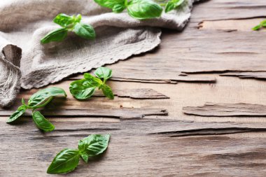 πράσινο φρέσκο βασιλικό με χαρτοπετσέτας