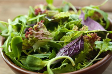 Kase taze karışık yeşil salata yakın çekim