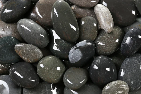Sea pebbles background — Stock Photo, Image