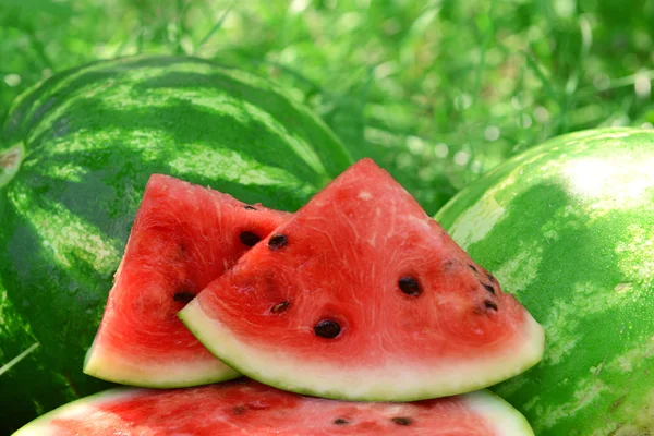 Fresh watermelon over green grass background — Stock Photo, Image