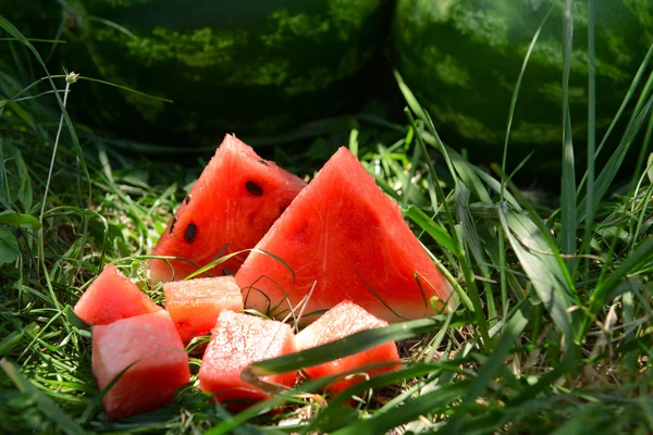 Fresh watermelon over green grass background — Stock Photo, Image