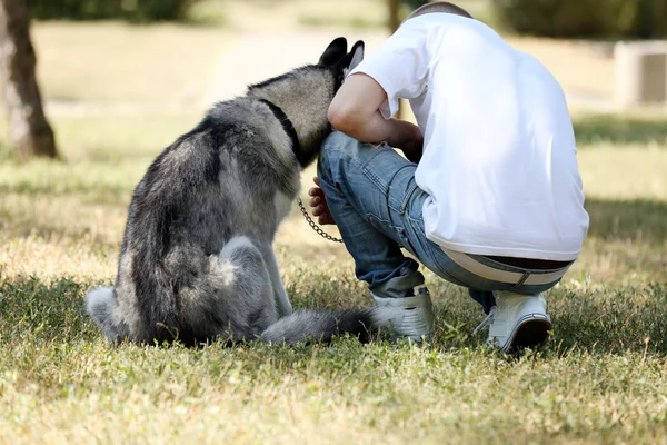 Jeune homme avec beau chien huskies dans le parc — Photo