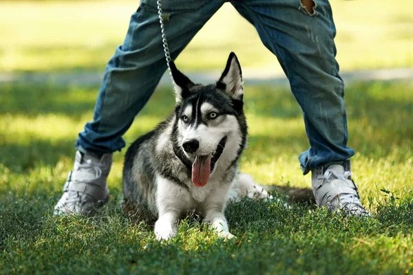Jovem com belo cão huskies no parque — Fotografia de Stock