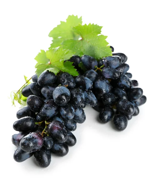 Fresh ripe grapes — Stock Photo, Image