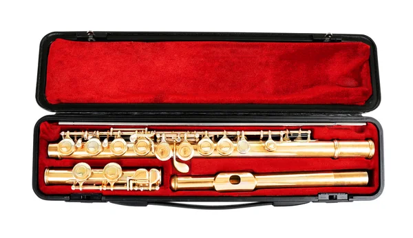 Flöte im Koffer isoliert auf weiß — Stockfoto
