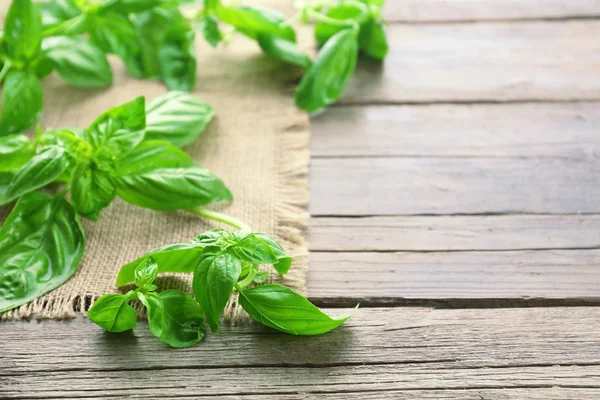 Green fresh basil with sackcloth on table close up — Stock Photo, Image