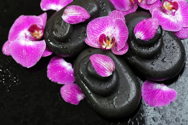 Violet orchid and zen stones close-up — Stock Photo, Image