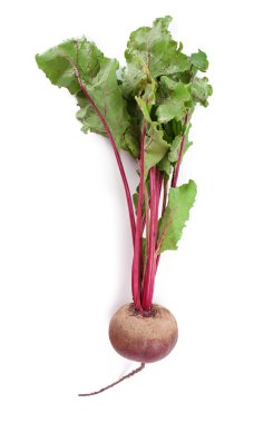 taze pancar üzerine beyaz izole