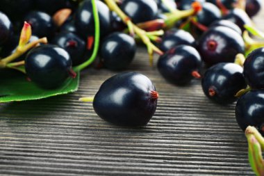 Ahşap masa, closeup üzerinde siyah kuş üzümü yığını