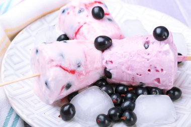 Beyaz plaka, portre siyah kuş üzümü ile tatlı dondurma