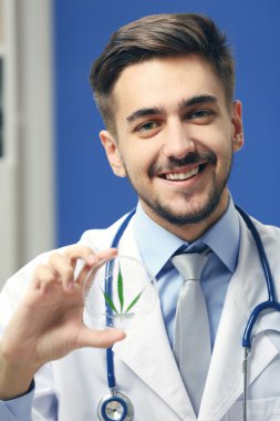 Doktor holding yeşil esrar yaprak