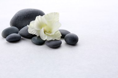 Açık renkli çiçek taşlarla Spa