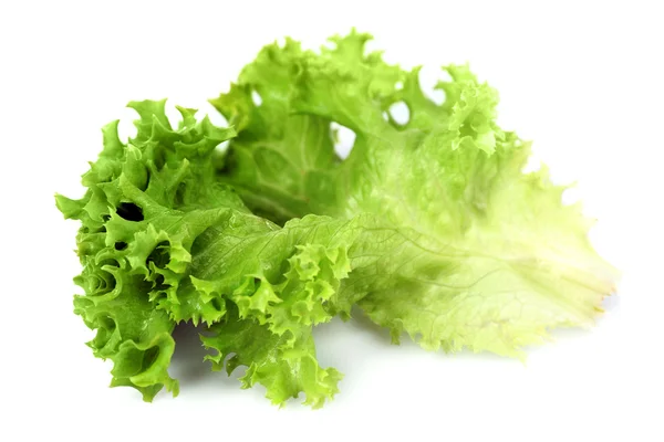 Grüner frischer Salat isoliert auf weißem — Stockfoto