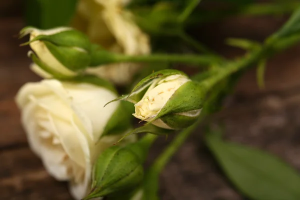 Belle rose piccole sul tavolo di legno da vicino — Foto Stock