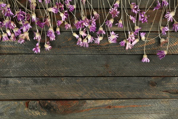 Hermosas flores silvestres sobre fondo de madera — Foto de Stock