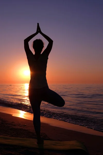 Junge gesunde Frau praktiziert Yoga — Stockfoto