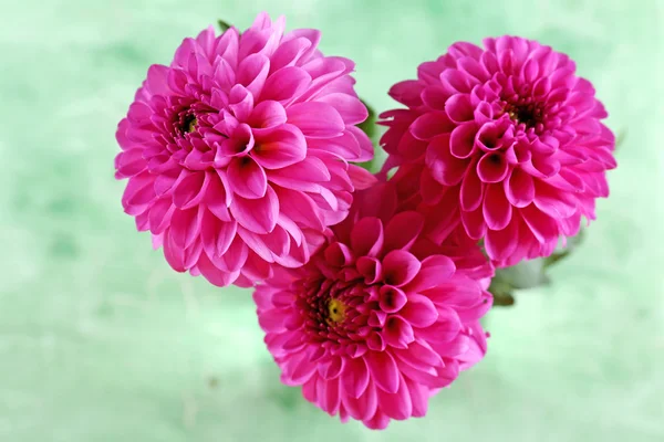 Beautiful asters on wooden background — Stock Photo, Image