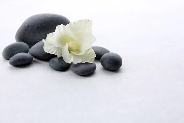 Pedras de spa com flor no fundo claro — Fotografia de Stock