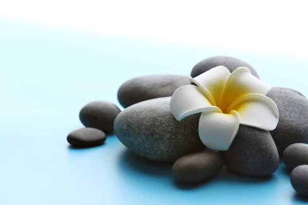 Spa stones with flower on blue background — Stock Photo, Image