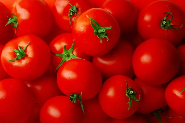Красный помидор крупным планом — стоковое фото