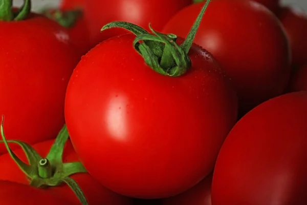 Tomates vermelhos close-up — Fotografia de Stock