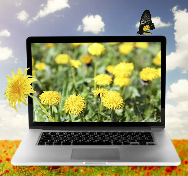Laptop z Natura Tapety na ekran — Zdjęcie stockowe