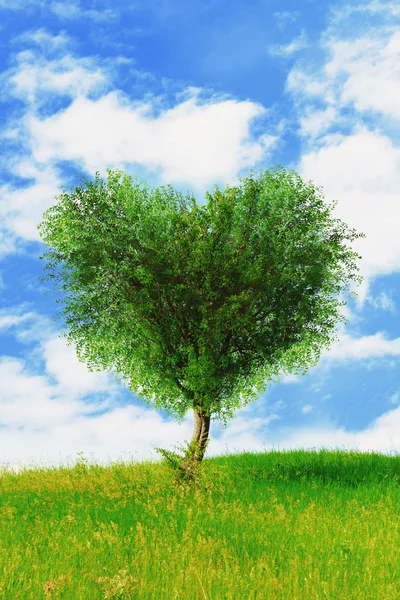 Green tree in heart shape — Stock Photo, Image