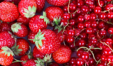 Arka plan olarak farklı çilek karışımı