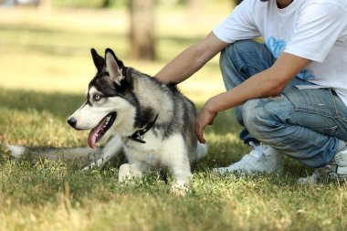 Güzel dış yapraklar köpek park ile genç adam