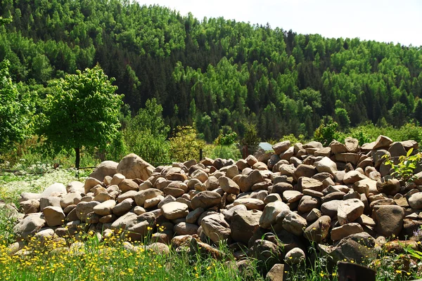 Pile of rocks over grove of green trees — Stock Photo, Image