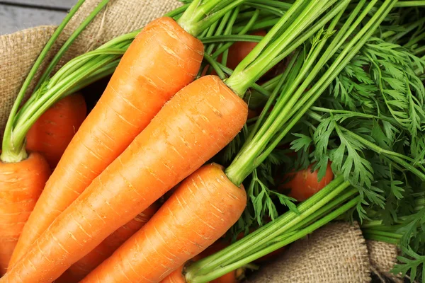 Zanahorias orgánicas frescas en saco, primer plano — Foto de Stock