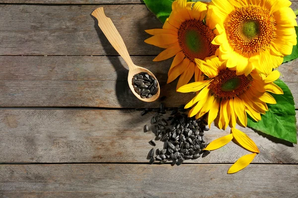 Hermosos girasoles brillantes con semillas en la mesa de madera de cerca — Foto de Stock