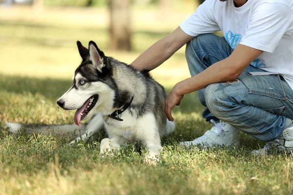 Νεαρός άνδρας με όμορφη huskies σκυλί στο πάρκο — Φωτογραφία Αρχείου