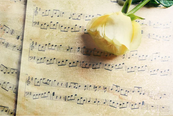 Hermosa rosa en hojas de música, primer plano — Foto de Stock