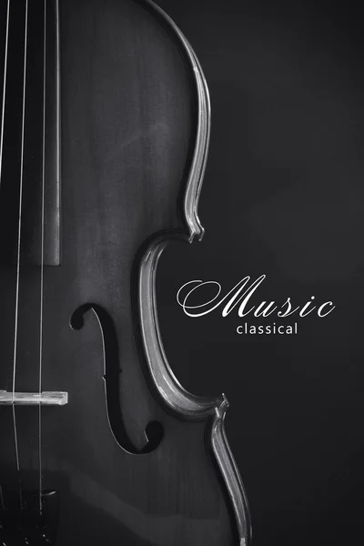 Klassisk violin. Svartvitt foto — Stockfoto