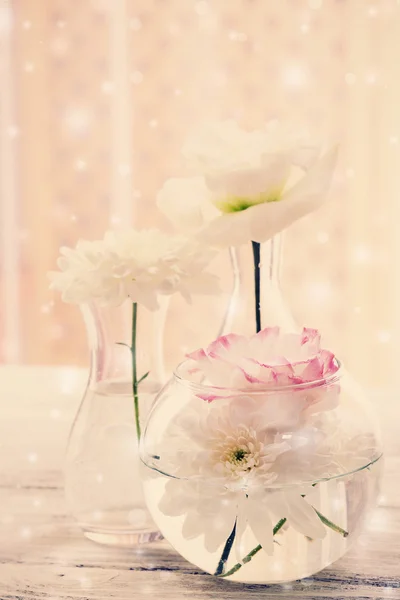 Hermosas flores en diferentes jarrones en el fondo de cortinas — Foto de Stock