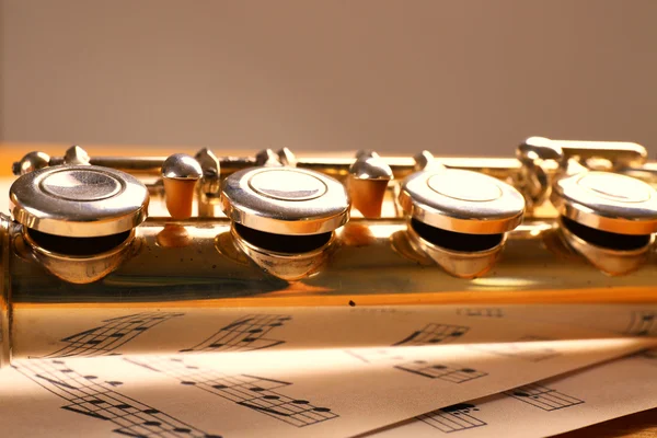 Srebrny flet z nut — Zdjęcie stockowe
