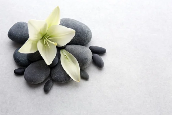 Spa stones with flower — Stock Photo, Image