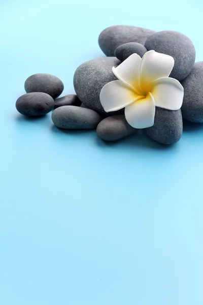 Spa stones with flower — Stock Photo, Image