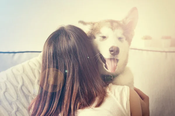 Kadın kucaklama malamute köpek odasında — Stok fotoğraf