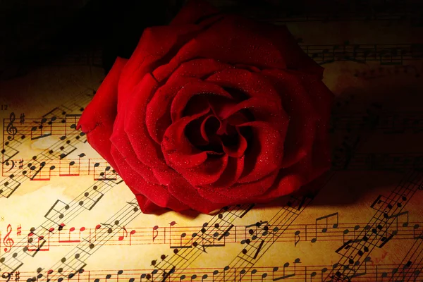 Bella rosa rossa sugli spartiti musicali — Foto Stock