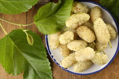 Masada yeşil yaprakları ile olgun dut yakın çekim