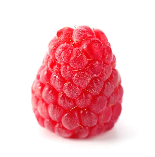 Framboesa doce vermelha isolada em branco — Fotografia de Stock