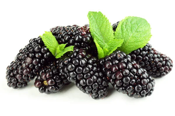 成熟的黑莓在白色上隔离 — 图库照片