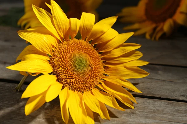 Beautiful bright sunflowers on wooden table close up — Stock Photo, Image